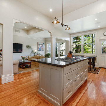 Victorian Remodel - Kitchen & Living Room (Alamo Square)