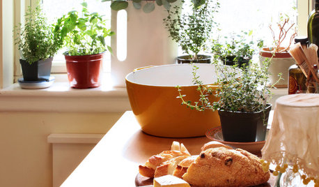 Baker's Delights: Plant Ideas for Bakers and Cooks