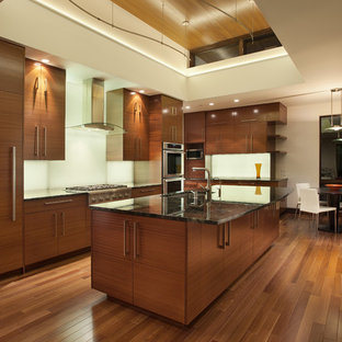 Foto di una cucina moderna con elettrodomestici da incasso