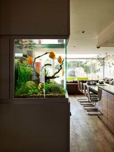 Contemporary Kitchen by Ensoul Ltd