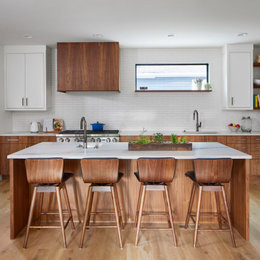 https://www.houzz.com/photos/warm-scandinavian-scandinavian-kitchen-denver-phvw-vp~163306148