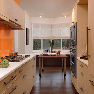 Washington D.C. - Contemporary - Galley Kitchen Design