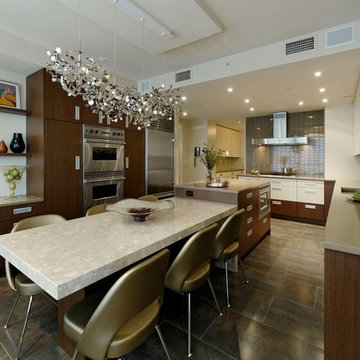 Washington, D.C. - Contemporary - Penthouse Kitchen Design