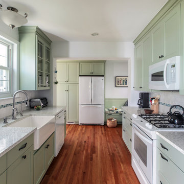 Washington D.C. - Green Transitional Kitchen