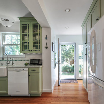 Washington D.C. - Green Transitional Kitchen