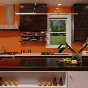 Washington, D.C - Modern - Kitchen Design