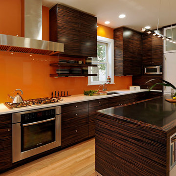 Washington, D.C - Modern - Kitchen Design