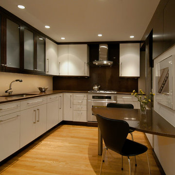 Washington, DC - Contemporary - Kitchen