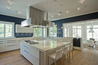 Kitchen - contemporary kitchen idea in DC Metro