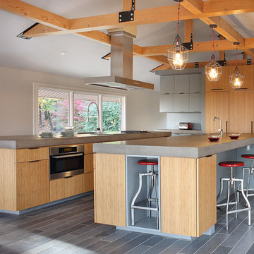 Watchung Contemporary Kitchen