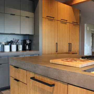Watchung Contemporary Kitchen