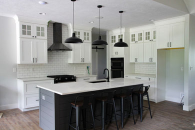 Example of a minimalist kitchen design in Indianapolis