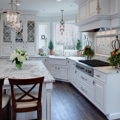 Kitchen - traditional kitchen idea in Chicago with a farmhouse sink, raised-panel cabinets, white cabinets and white countertops