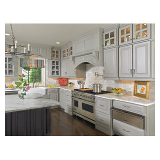 Wellborn Forest Cabinetry - Transitional - Kitchen - Chicago - by C&H ...