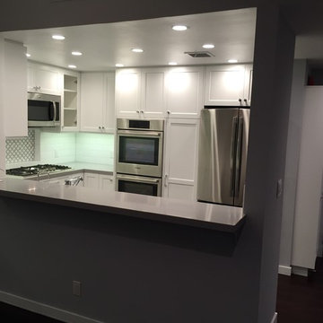West LA Condo Remodel