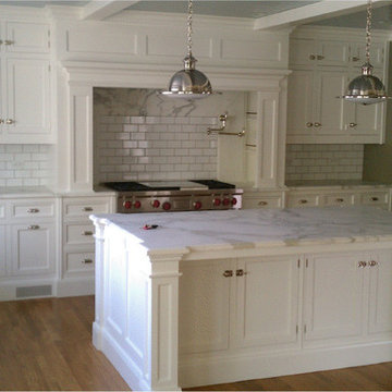 Western Springs Kitchen Remodel