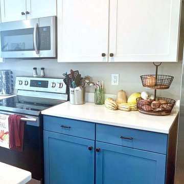 White and Blue Kitchen Cabinets