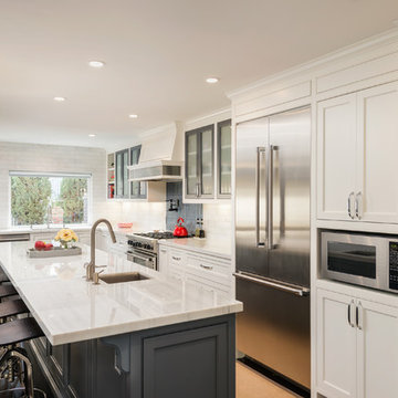 White and Gray Contemporary Kitchen