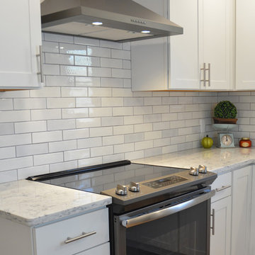 White and Gray Kitchen in Lansing