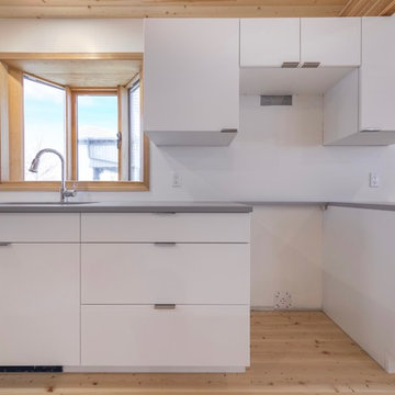 White & Natural Wood Kitchen Renovation