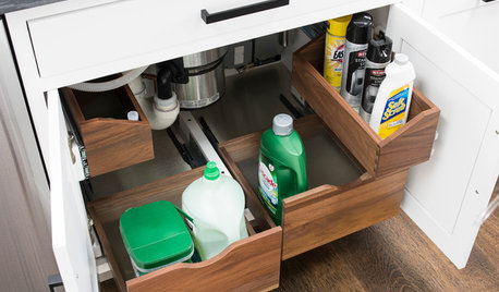 Как правильно: Организовать хранение под мойкой на кухне