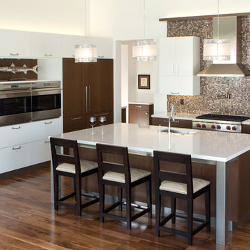 White and Wenge Kitchen