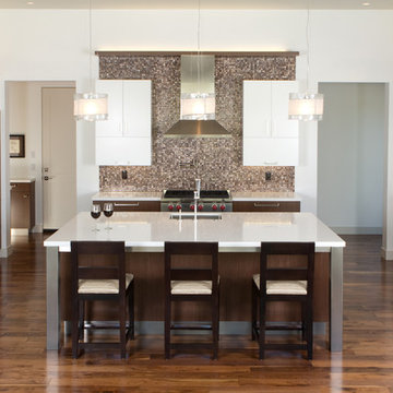White and Wenge Kitchen