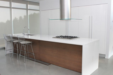 White and Wood minimalist kitchen