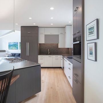 White Bear Modern