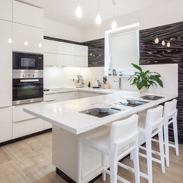 White kitchen with ebony veneer