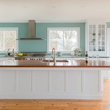 White Kitchens