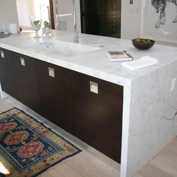 White Laquer and Dark Oak Kitchen