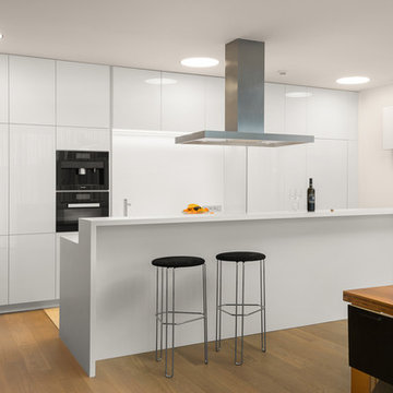 White modern kitchen and luxury interior doors