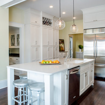 White Modern Kitchen Renovation St. Louis, MO