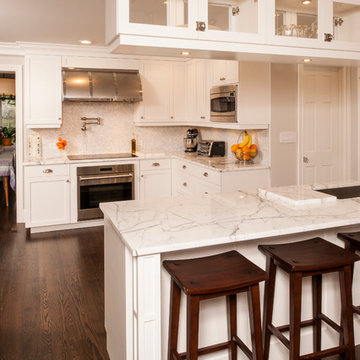 White Out - Transitional Kitchen