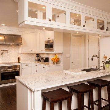 White Out - Transitional Kitchen