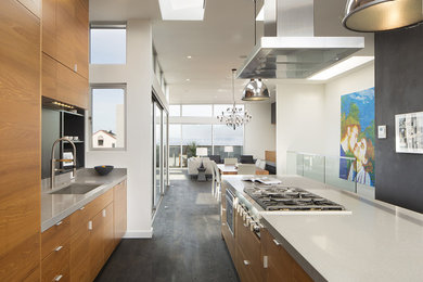 サンフランシスコにあるコンテンポラリースタイルのおしゃれなアイランドキッチン (アンダーカウンターシンク、フラットパネル扉のキャビネット、クオーツストーンカウンター) の写真