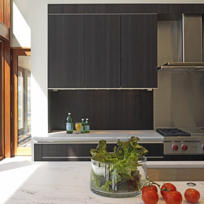 Trendy galley kitchen photo in Baltimore with flat-panel cabinets, dark wood cabinets, metallic backsplash, metal backsplash and stainless steel appliances