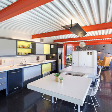 X-100 Eichler Homes, San Mateo Highlands