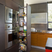 Modern Kitchen by Lane Williams Architects