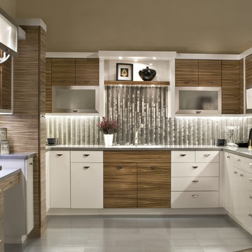 Zebra Wood Modern Kitchen