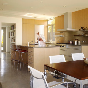 Zeidler Residence