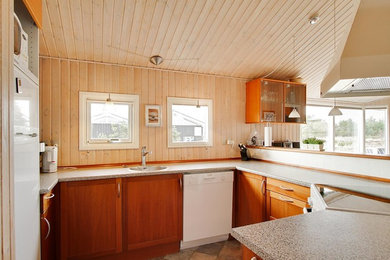 This is an example of a midcentury kitchen in Aalborg.