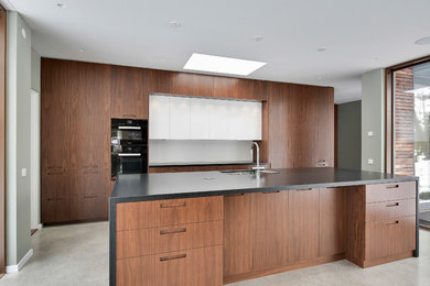 Modern inredning av ett stort kök, med en undermonterad diskho, släta luckor, granitbänkskiva, vitt stänkskydd, glaspanel som stänkskydd, betonggolv och en köksö