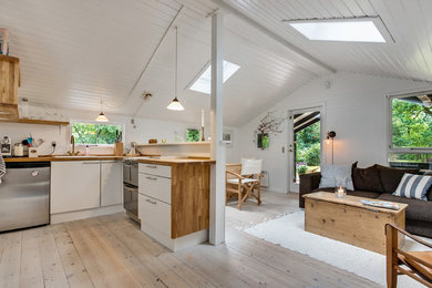 Design ideas for a scandinavian kitchen in Copenhagen.