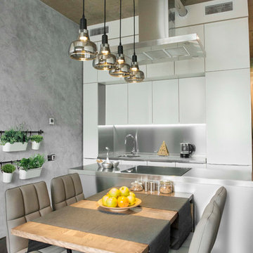 LOFT + кухня из нержавеющей стали