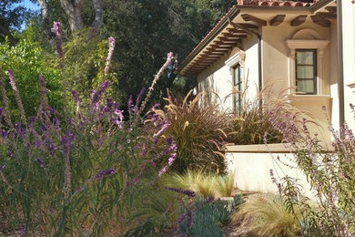 Photo of a drought-tolerant and full sun side yard landscaping in Los Angeles.