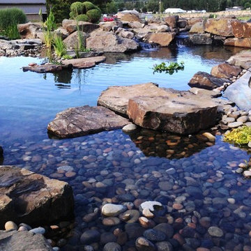 15 Year old pond 'makeover'