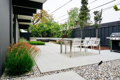 Modelo de jardín de secano minimalista en patio trasero con exposición parcial al sol y adoquines de hormigón