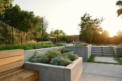 Foto de jardín de secano minimalista en patio trasero con exposición total al sol y adoquines de hormigón